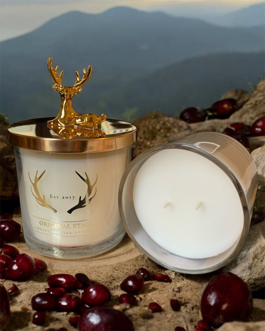 Outdoor-Inspired Pomegranate & Plum Candle – 380g, Double Wick, 40 Hours Burn Time | Premium Scented Candle | Made in the UK