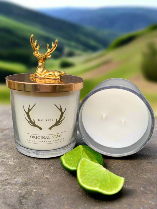 Lime Basil & Mandarin Home Stag Candle – 380g, double wick, with fresh citrus and herbal notes. 40 hours burn time, perfect for home decor.